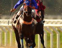 09.07 Corridas » 09.07 Corridas » 250724